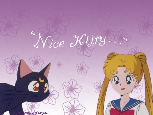 "Nice Kitty..."