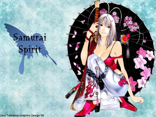 Samurai Spirit