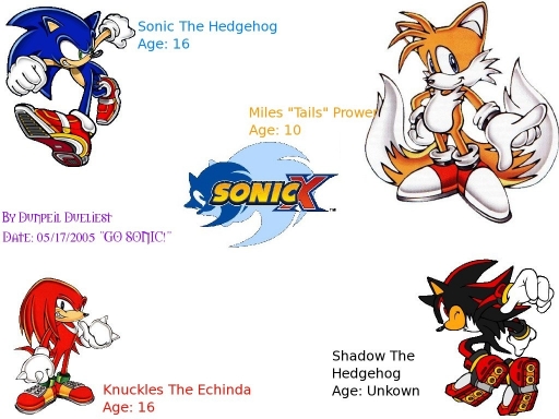 Sonic X Character Info.