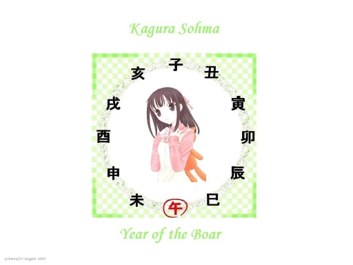 Year Of The Boar