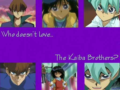 Who Doesn't Love The Kaiba Bro