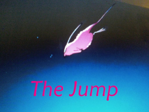 The Jump
