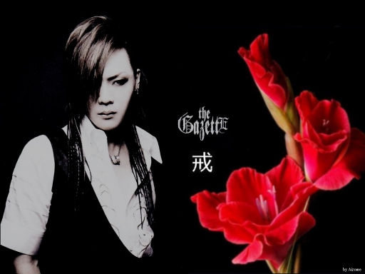 Kai: Deep red gladiola