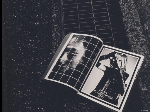 FROM THE DISTORTED CITY