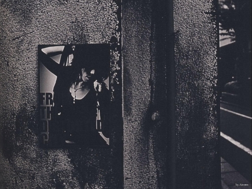 FROM THE DISTORTED CITY