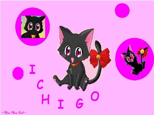 Kitty-Kat Ichigo