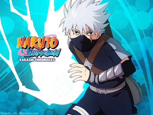 Kakashi Chronicle