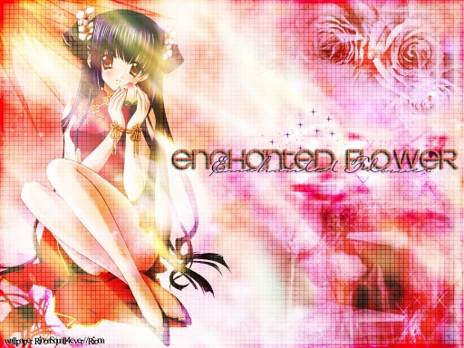 Enchanted Flower