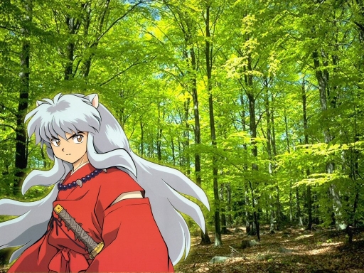 Inuyasha's Forest