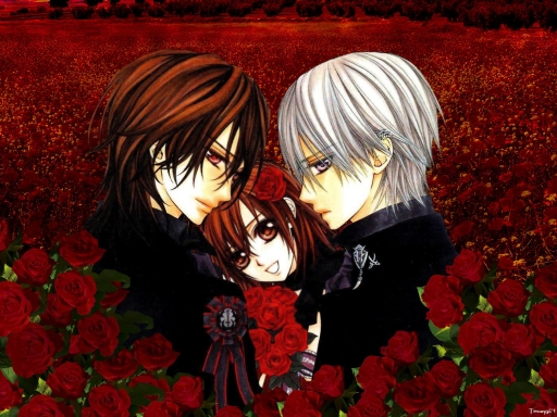 In the roses
