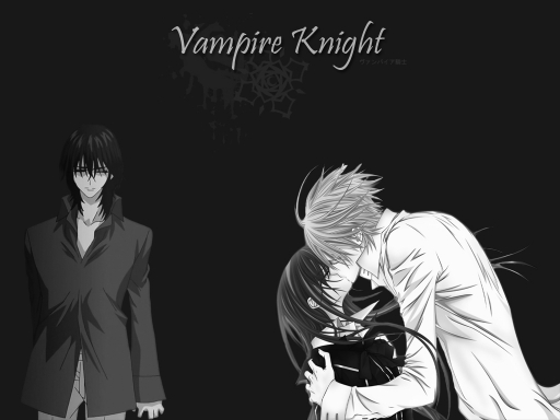 Vampire Knight #2