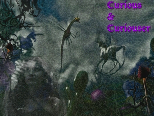 Curious & Curiouser