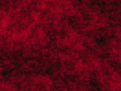 TRUTH BEHIND THE RED