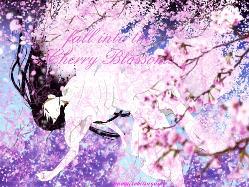 Fall into the Cherry Blossoms