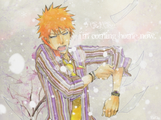 I'm coming home now!