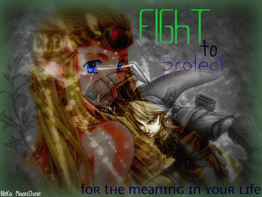 Fight to protect