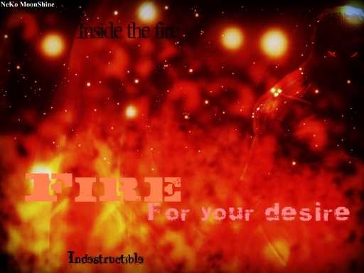 Inside the Fire