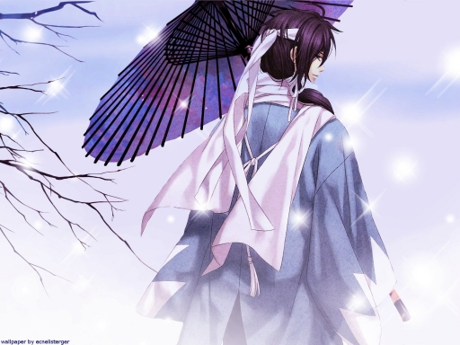 Samurai Under the Snow