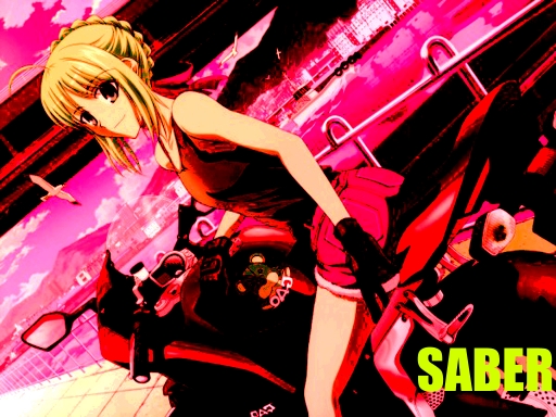 Saber's Twilight Ride