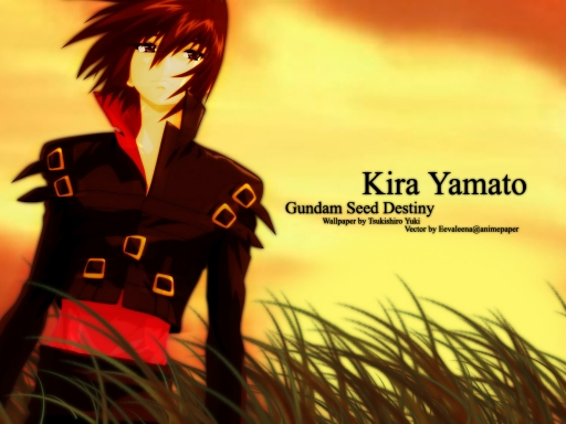 Fields of Hope ~ Kira Yamato