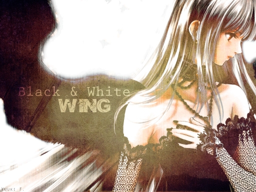 ~Black & White WING~
