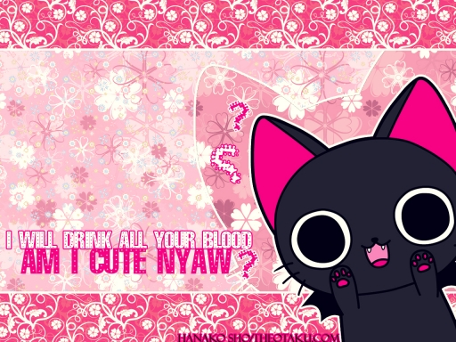[Cute Nyaw]