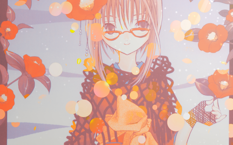 Flowers are blooming