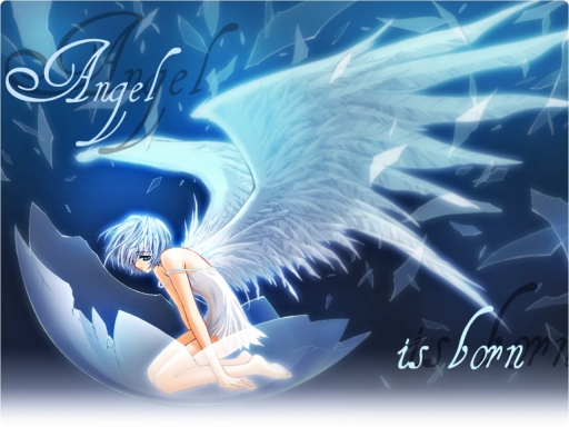 Angel Is Born