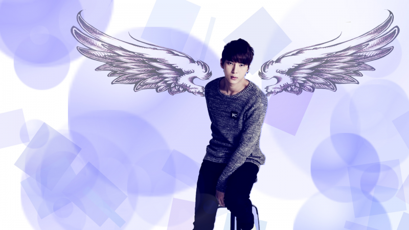 Leo's Wings