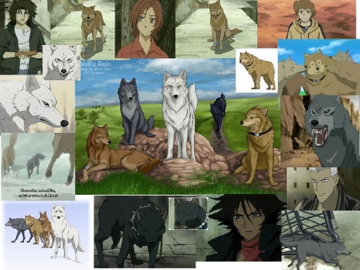 All Five Wolves Collage