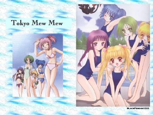 Tokyo mew mew