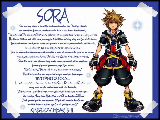 Normal Sora :3
