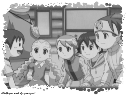 Megaman Exe Gang