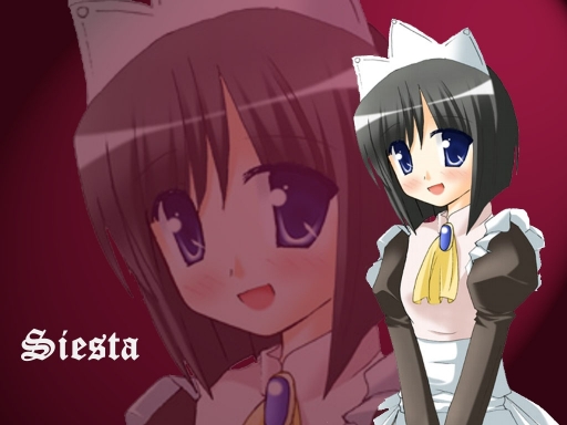 Siesta