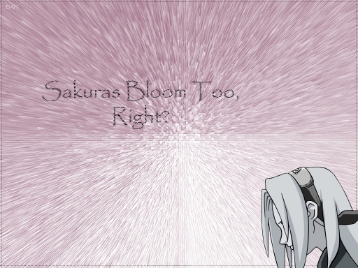 Sakura's Bloom Too