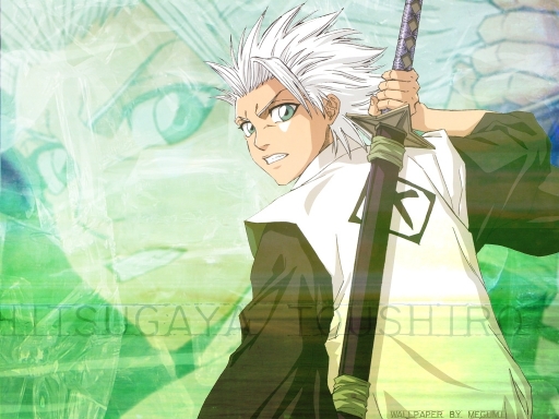 Hitsugaya Toushiro