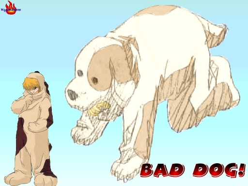 Bad Dog!