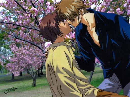 Shuichi Yuki Spring Yaoi