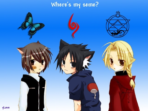 Where's My Seme? (2) Yaoi
