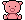 Groovy Boar: Happy B-day! a piggie for you! :)