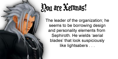 What Organization XIII Member Are You?