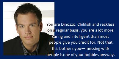 What NCIS Character Are You?