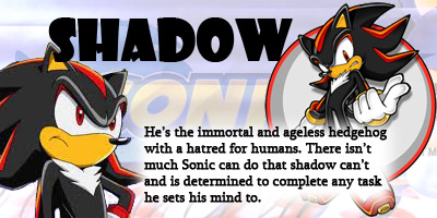 What Sonic-X Character Are You?