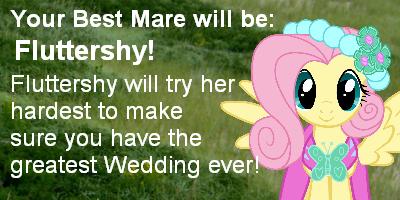 Who Would Be Your Mare Of Honor?