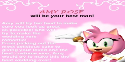 Which Sonic Character Would Be Your Best Man?