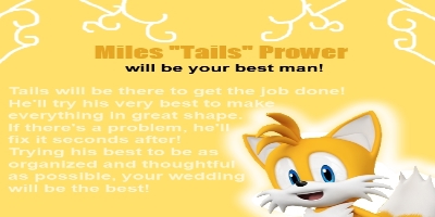 Which Sonic Character Would Be Your Best Man?