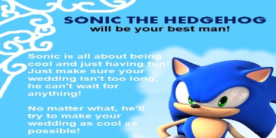 Which Sonic Character Would Be Your Best Man?