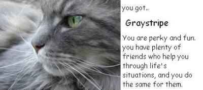 What Warrior Cat Are You?