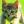KittyCat