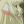 kawaiimushroom